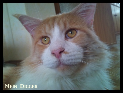 Digger