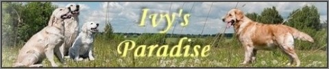 Ivys Paradise